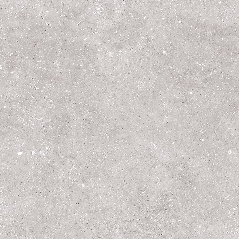 NARIN GREY MATT RECT 59,8X59,8 G1