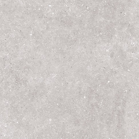NARIN GREY MATT RECT 59,8X59,8 G1