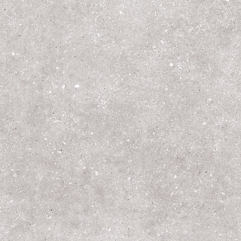 NARIN GREY MATT RECT 59,8X59,8 G1