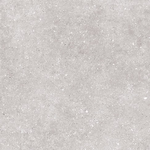 NARIN GREY MATT RECT 59,8X59,8 G1