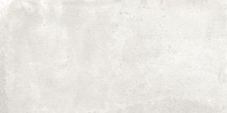MESTRE GREY POLISHED RECT 60 x 120 G1