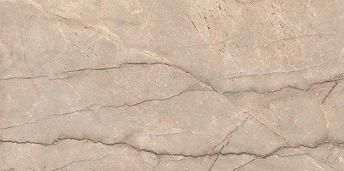 PIOVE GREY POLISHED RECT 60X120 G1