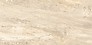 TAMBRIA BEIGE POLISHED RECT 60X120 G1