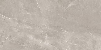 VETICANO GREY POLISHED RECT 60 x 120 G1