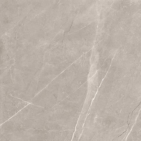 VETICANO GREY POLISHED RECT 60X60 G1