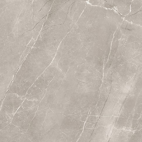 VETICANO GREY POLISHED RECT 60X60 G1