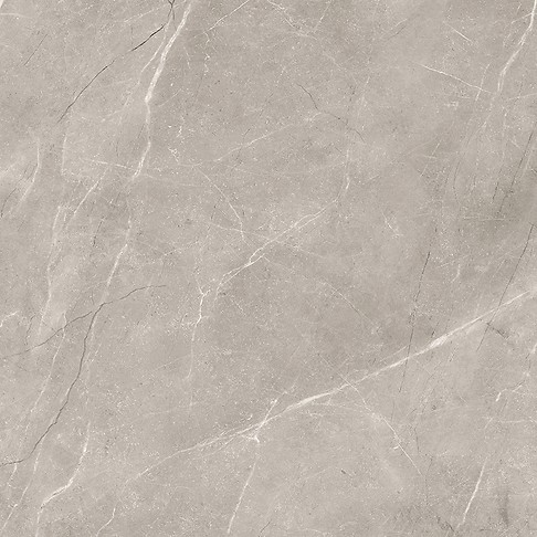 VETICANO GREY POLISHED RECT 60X60 G1