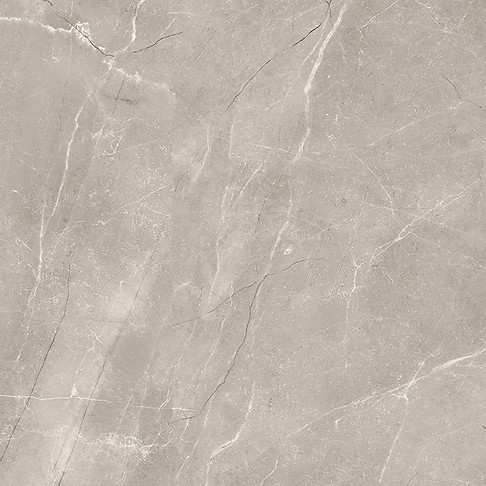 VETICANO GREY POLISHED RECT 60X60 G1