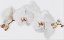 MARISOL white inserto flower 25x40