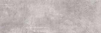SNOWDROPS GREY 20 x 60 G1