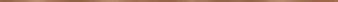 METAL COPPER BORDER MATT 1 x 119,8