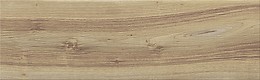 BIRCH WOOD BEIGE 18,5X59,8 G1