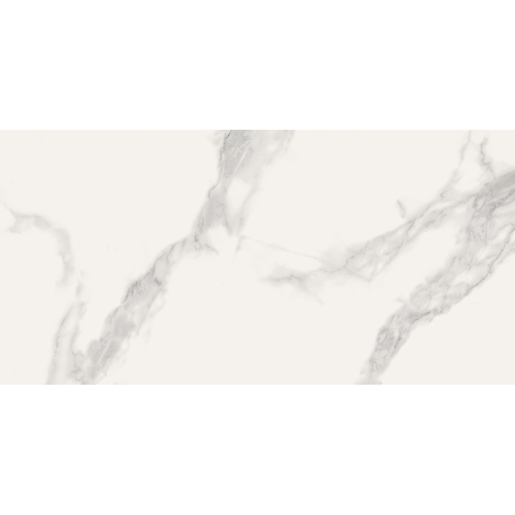 CARRARA SOFT WHITE SATIN RECT 59,5x120